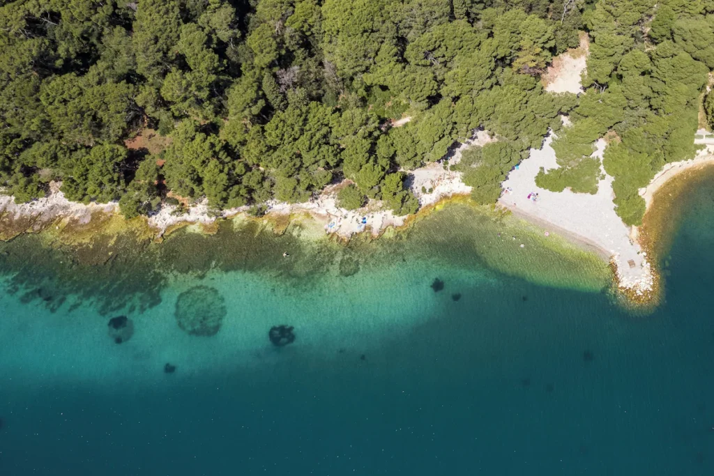 1769165291985 fb1e99eee1f4